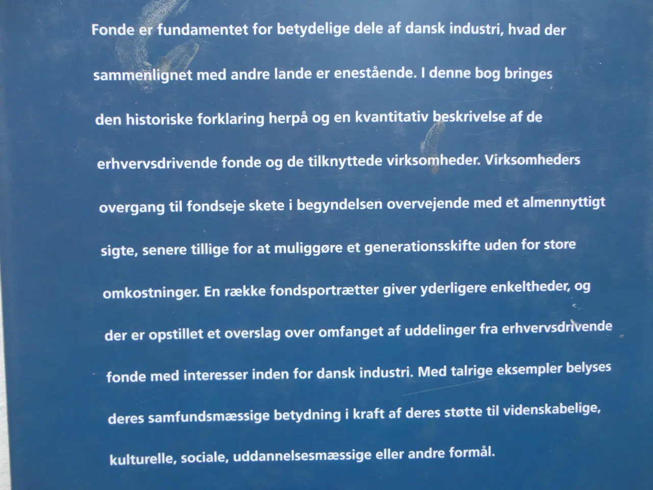 Billede 2 - Fonde som fundament for Dansk Industri :