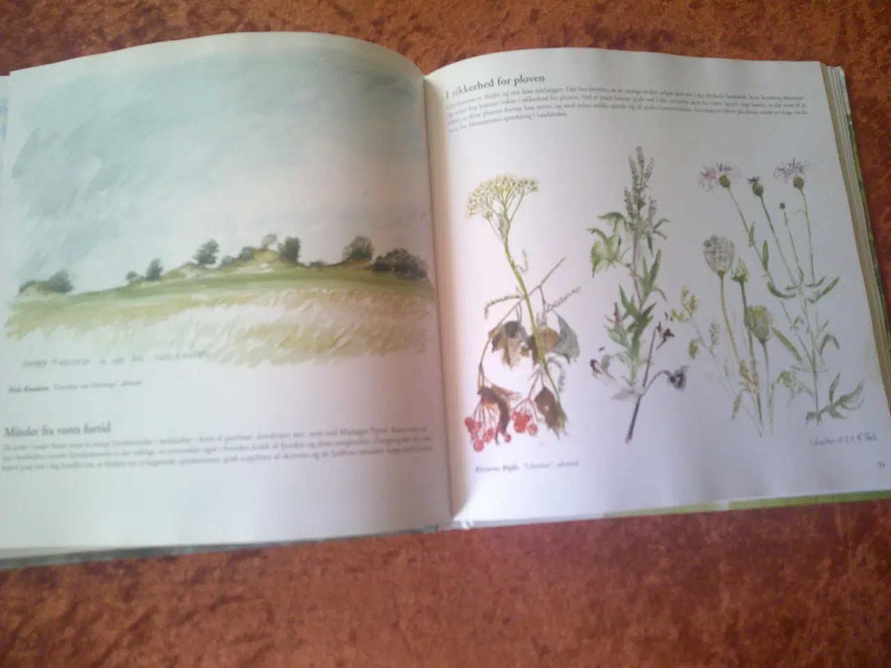 Billede 2 - Mariager Fjords natur,Anders Horsten, Inger Taylor