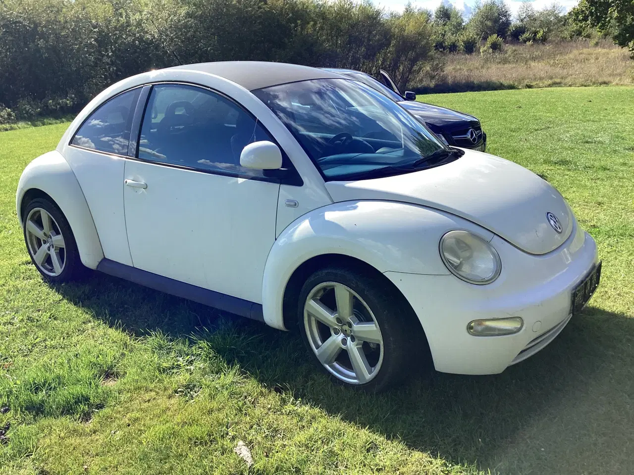 Billede 3 - VOLKSWAGEN BEETLE, NEW 2,0