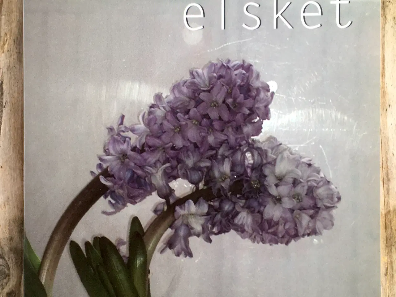 Billede 1 - Jeg har elsket, Anna Gavalda, genre: romantik