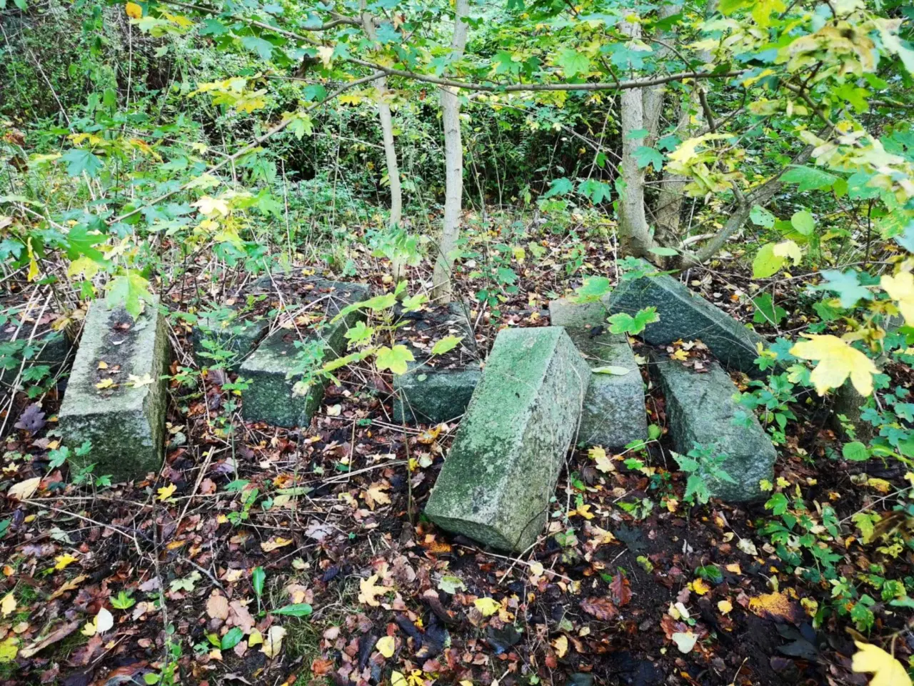 Billede 1 - Granitsten – ægte massiv granit, perfekt til have 