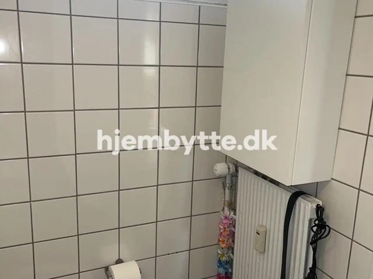 Billede 12 - Hjembytte - Hovedvejen