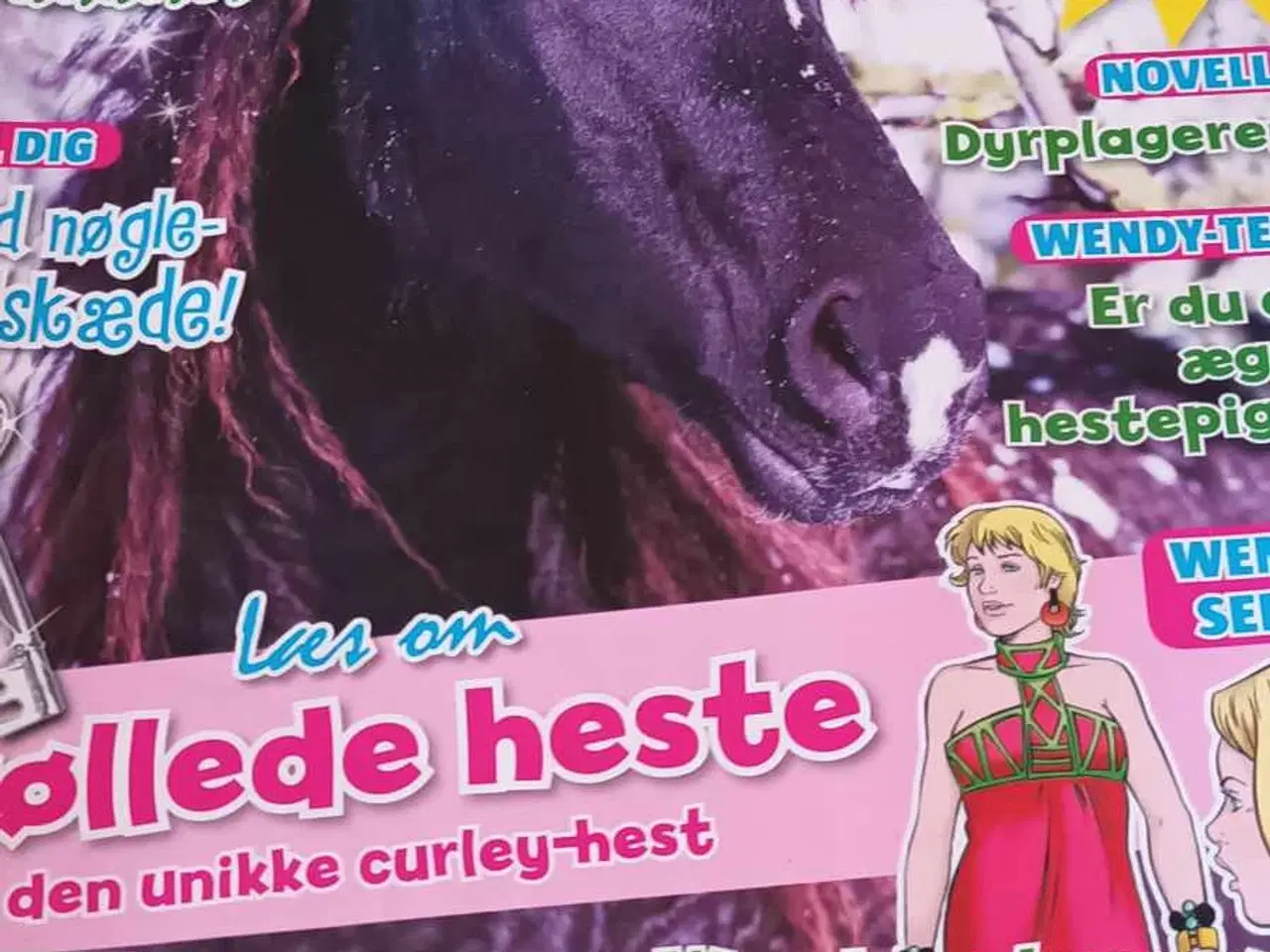 Billede 1 - Wendy Blad.