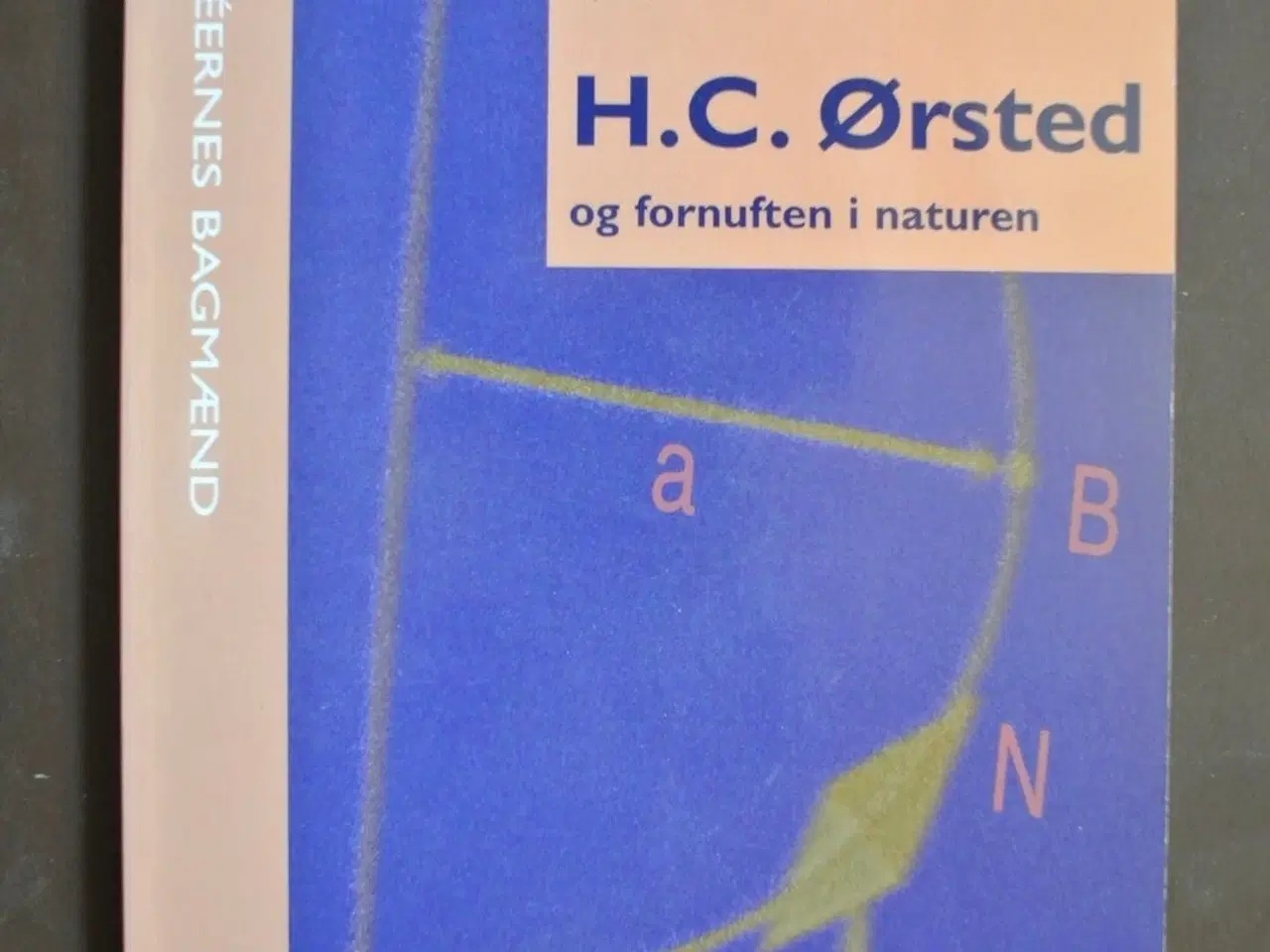 Billede 1 - h. c. ørsted og fornuften i naturen, af bjarne kou