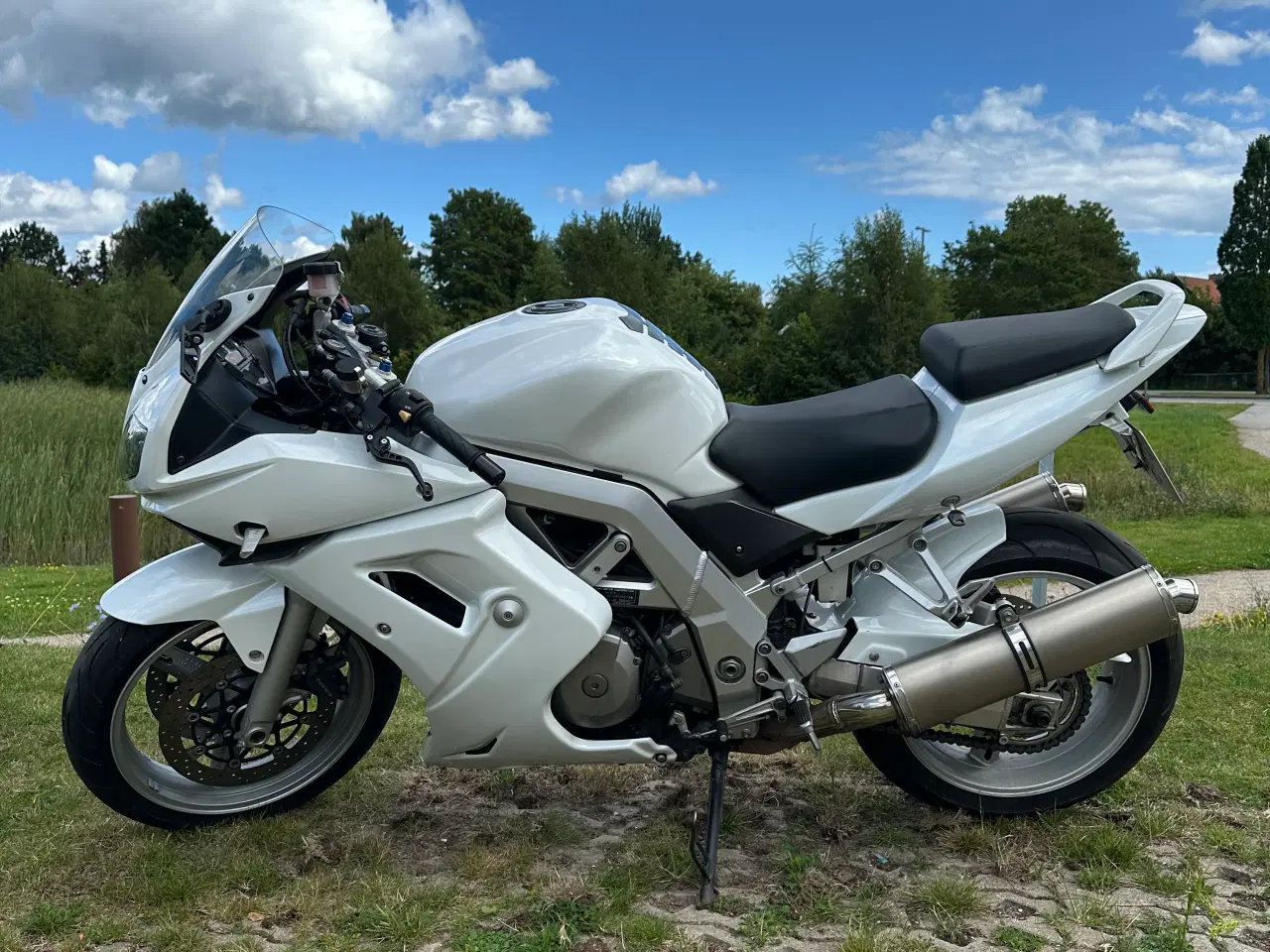 Billede 5 - Suzuki SV1000S – V2 kraft med sjæl