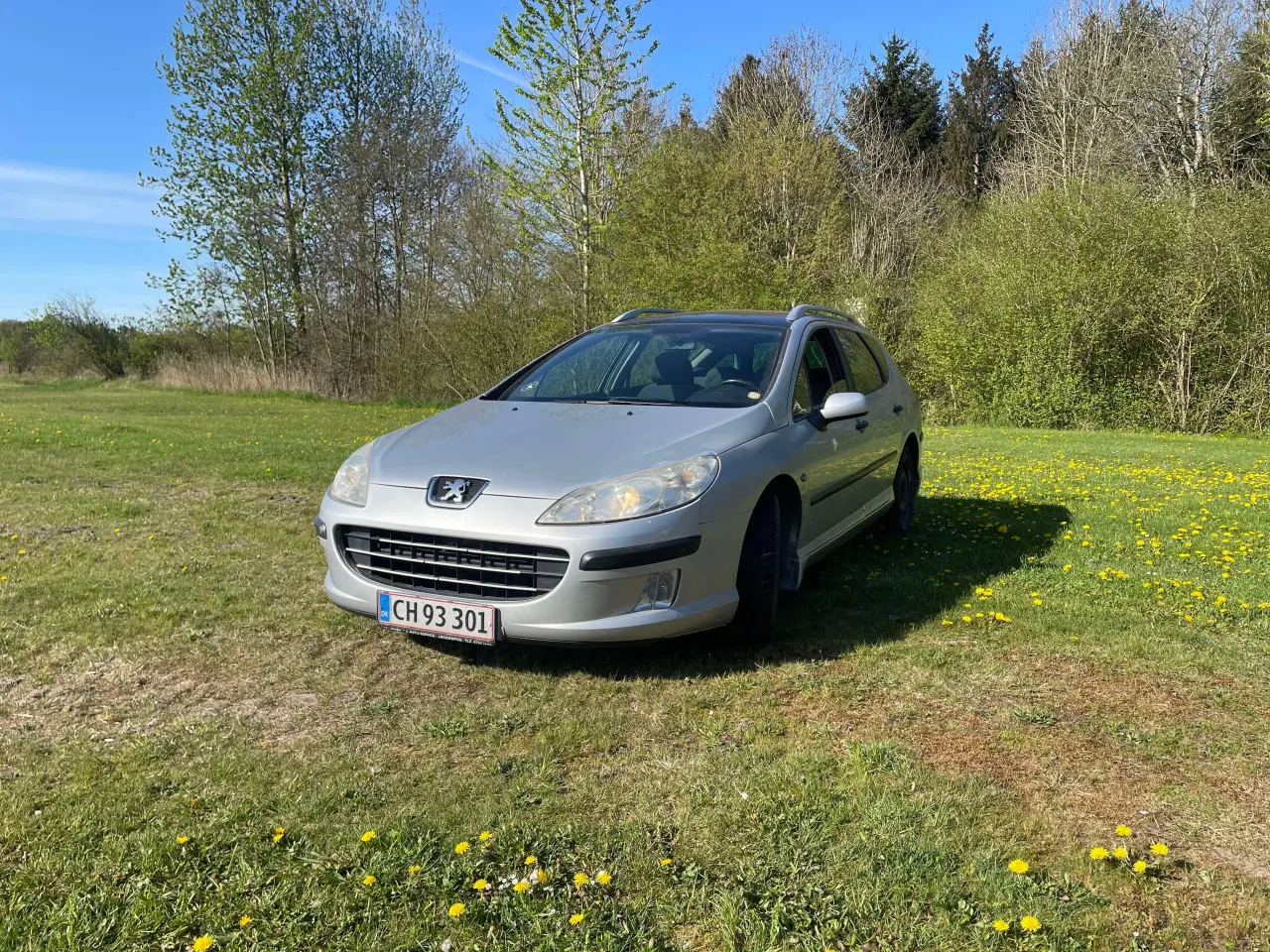 Billede 2 - Peugeot 407 sw
