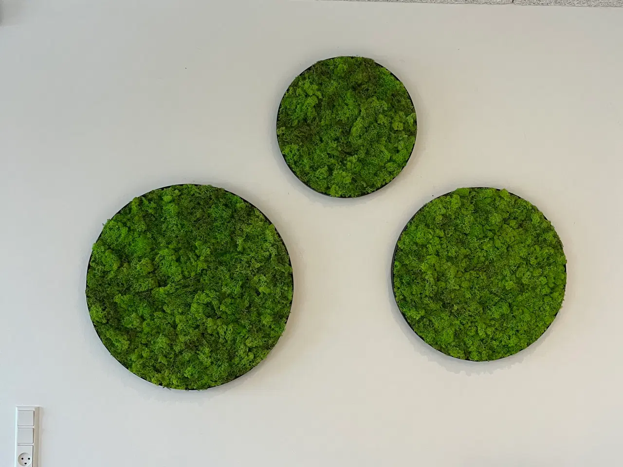 Billede 3 - Mos billeder vi laver 