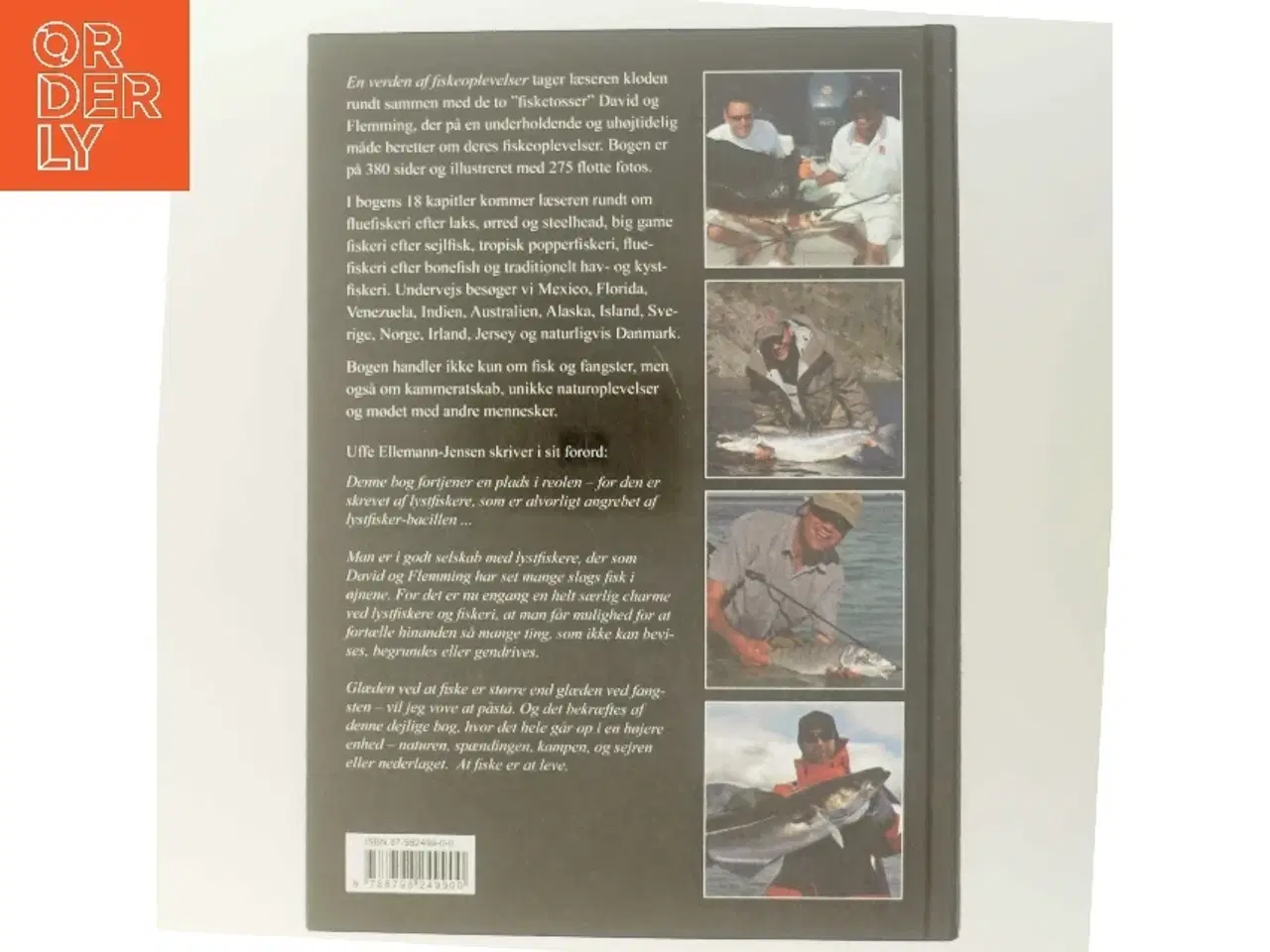 Billede 3 - En verden af fiskeoplevelser : fortællinger om fiskeoplevelser fra hele verden af David Nielsen (f. 1975-03-06) (Bog)