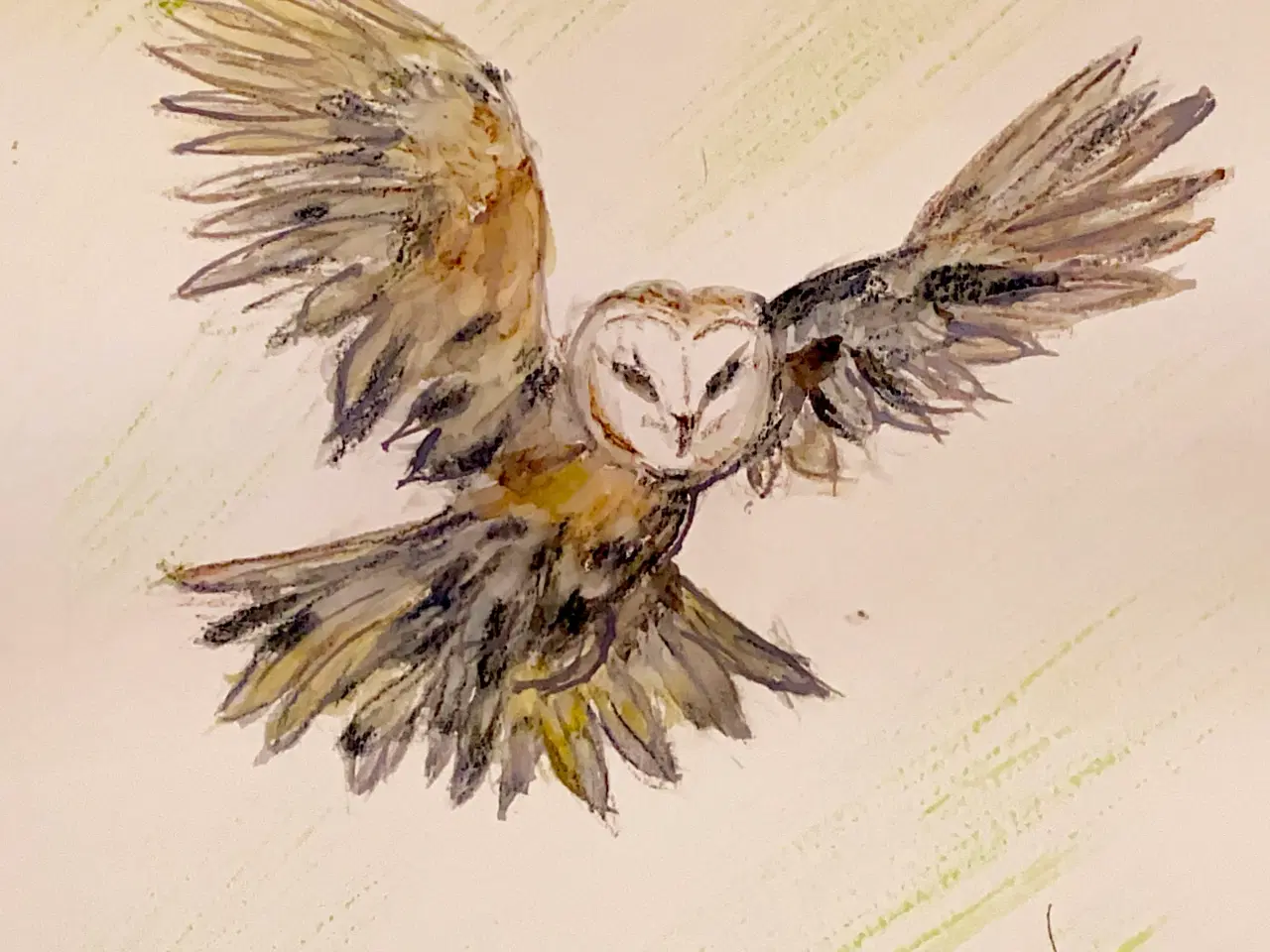 Billede 7 - Akvareller 