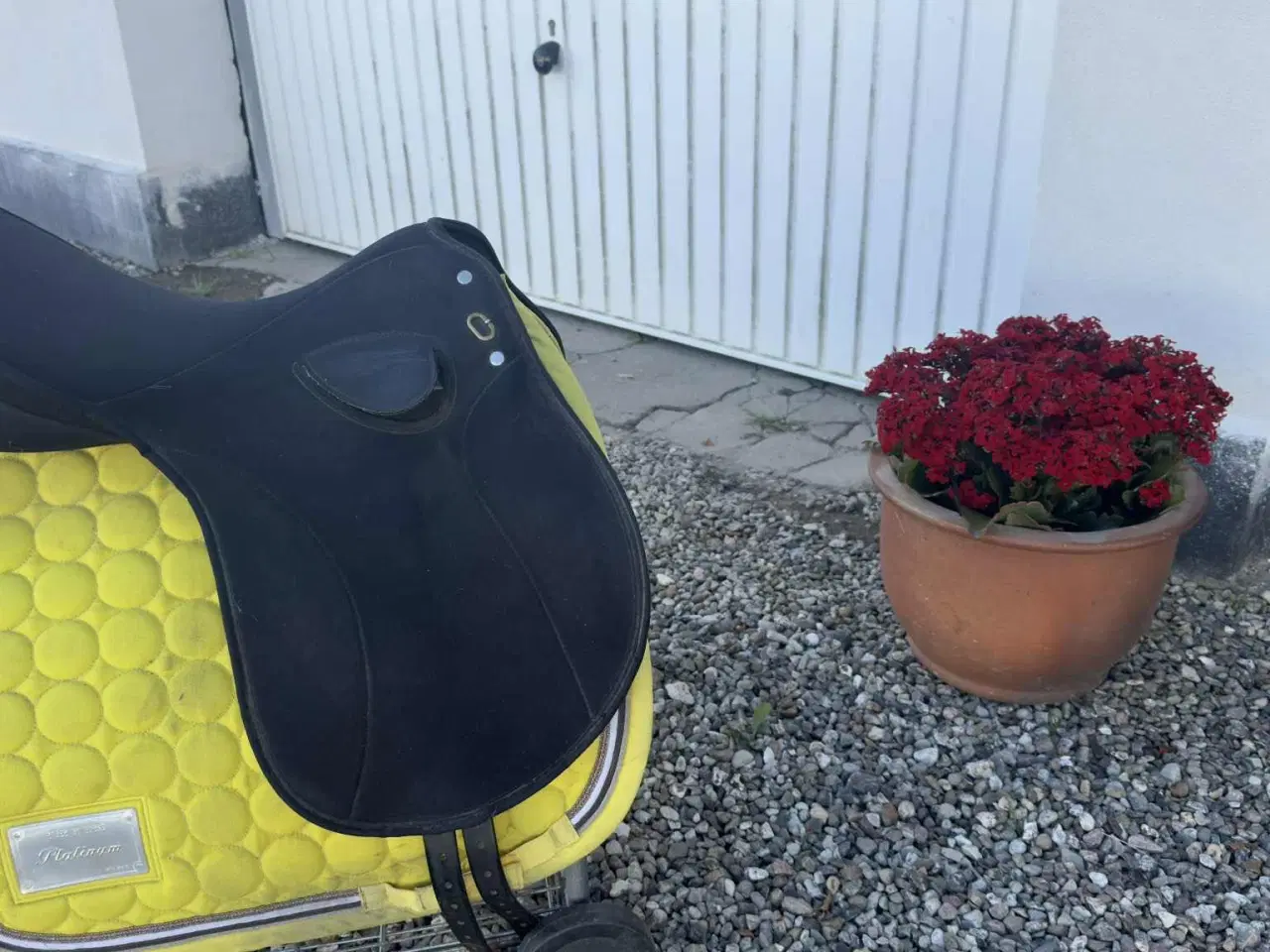 Billede 7 - Wintec kombi sadel til både dressur / spring / tur