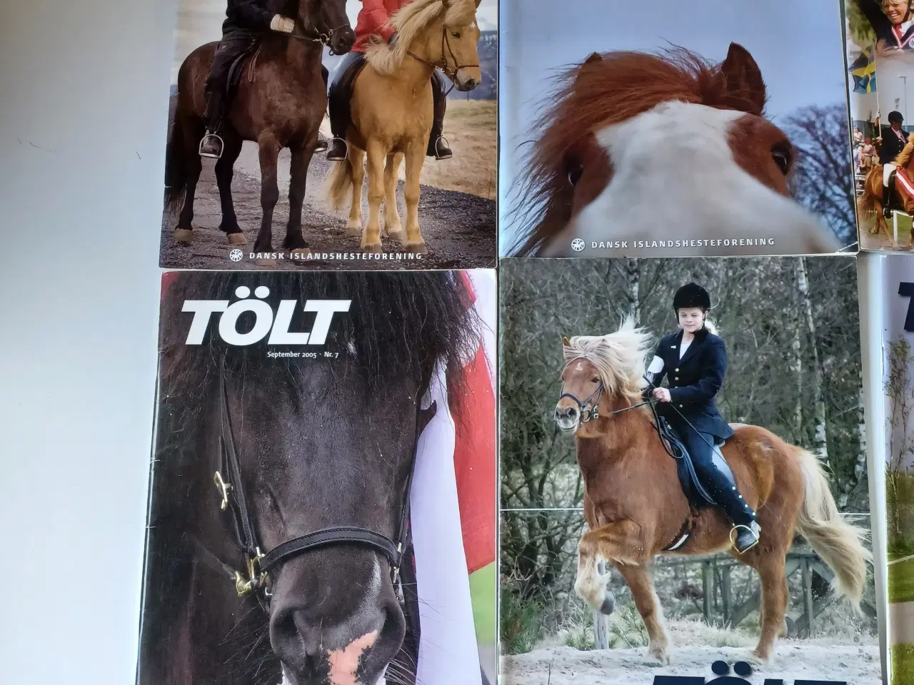 Billede 2 - Tölt heste-magasiner 