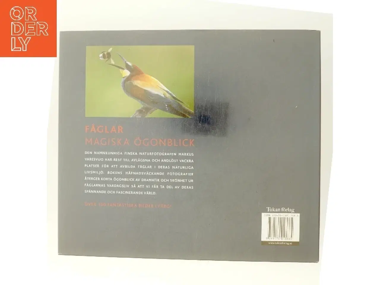 Billede 3 - Fåglar af Markus Varesvuo (Bog)