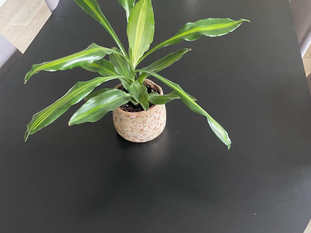 Billede 2 - Spisebord med tillægsplader