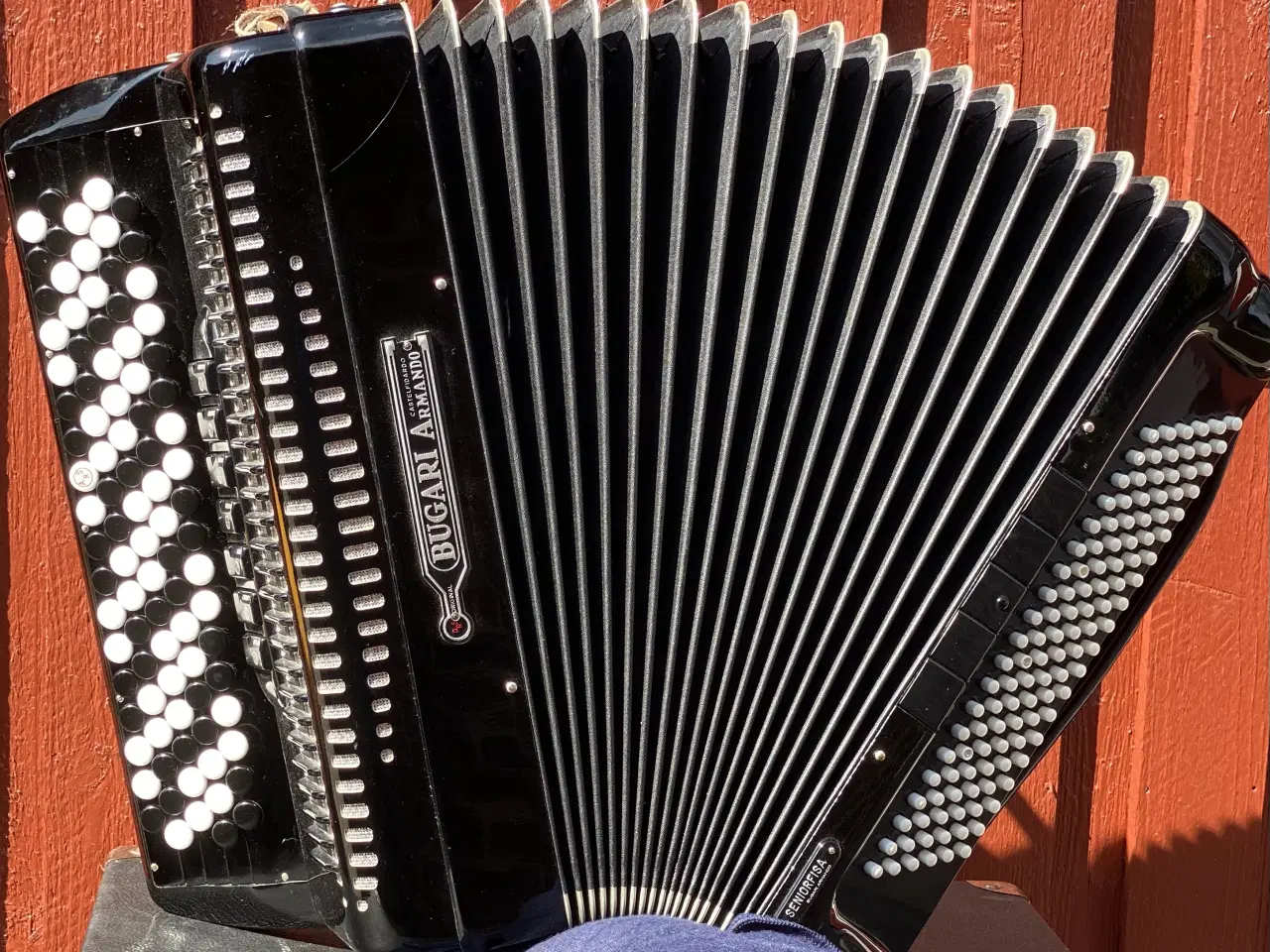 Billede 2 - Bugari Armando Seniorfisa Special – Topklasse 