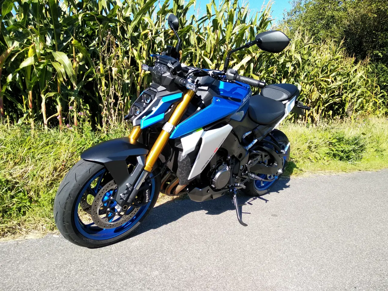 Billede 3 - Suzuki GSX S1000