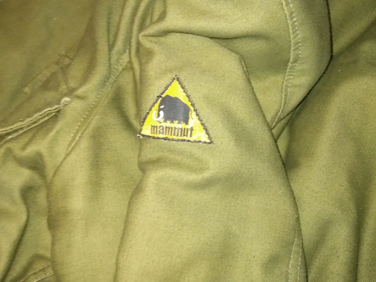Billede 2 - Mammut....