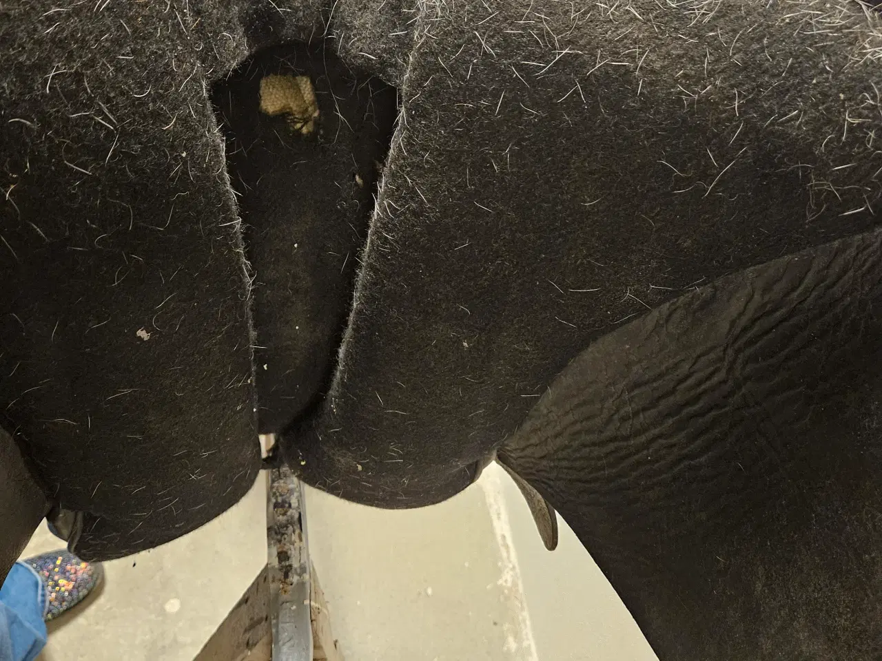 Billede 4 - Flot læder sadle 