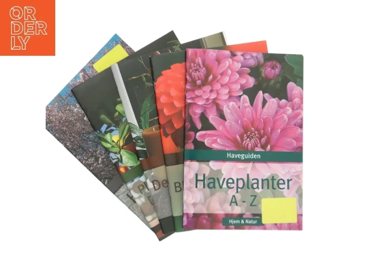 Billede 1 - Haveguiden: Haveplanter A - Z af Ukendt (Bog)