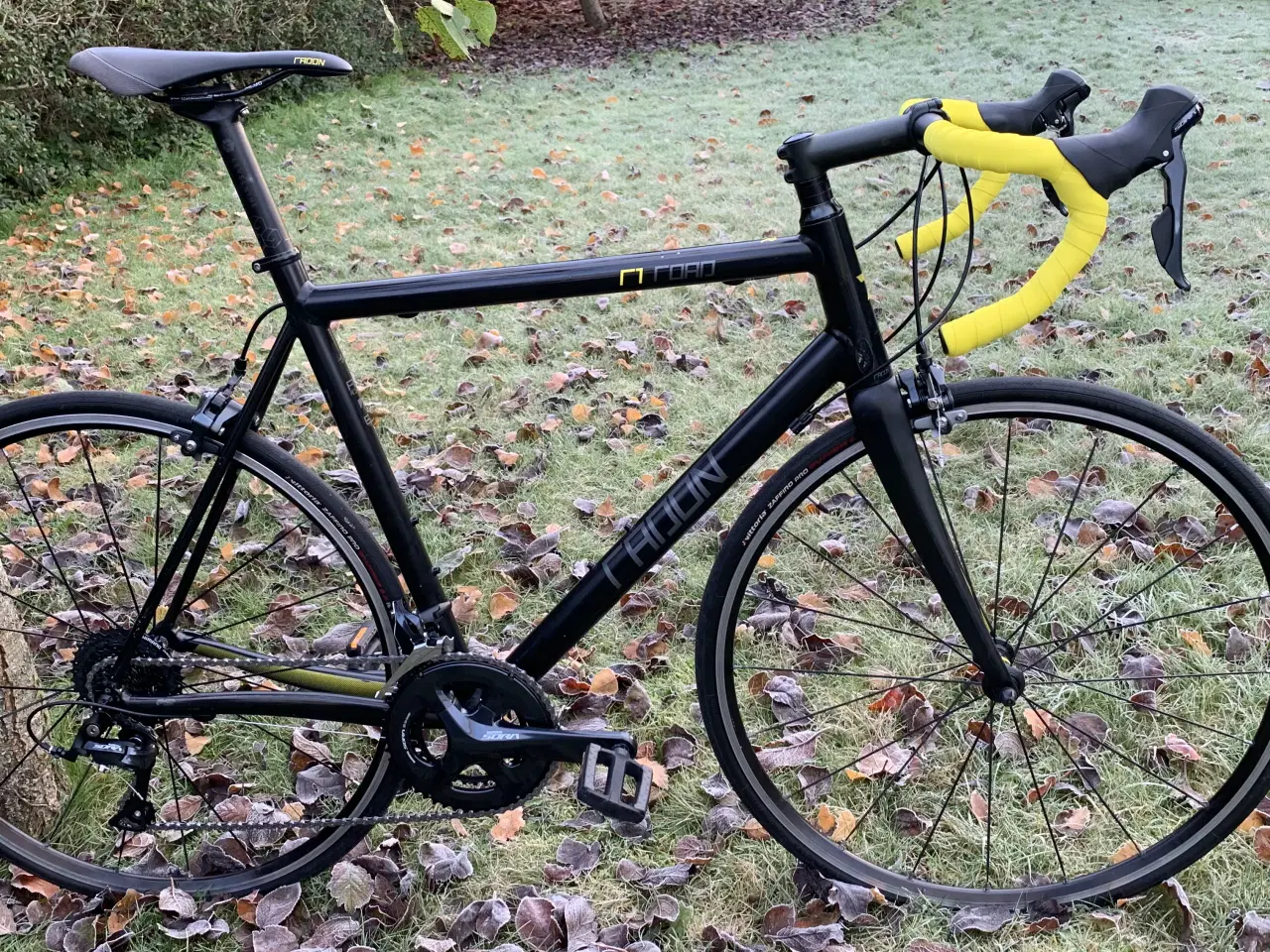 Billede 1 - Radon R1 racercykel str. 60 *Helt ny geargruppe* #