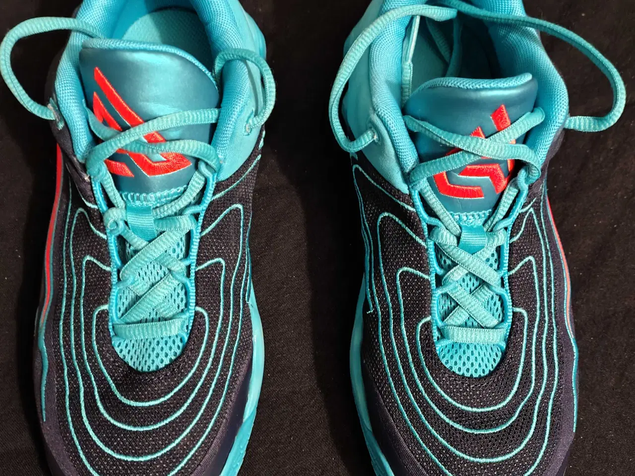 Billede 9 - 37.5 Giannis immortality 4 