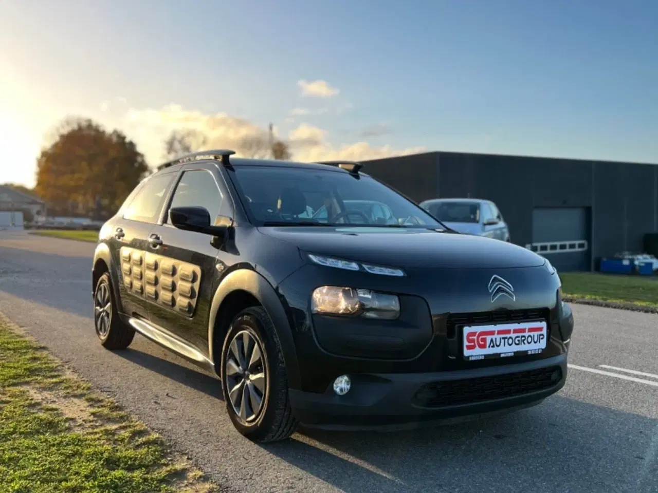 Billede 1 - Citroën C4 Cactus 1,6 BlueHDi 100 Shine