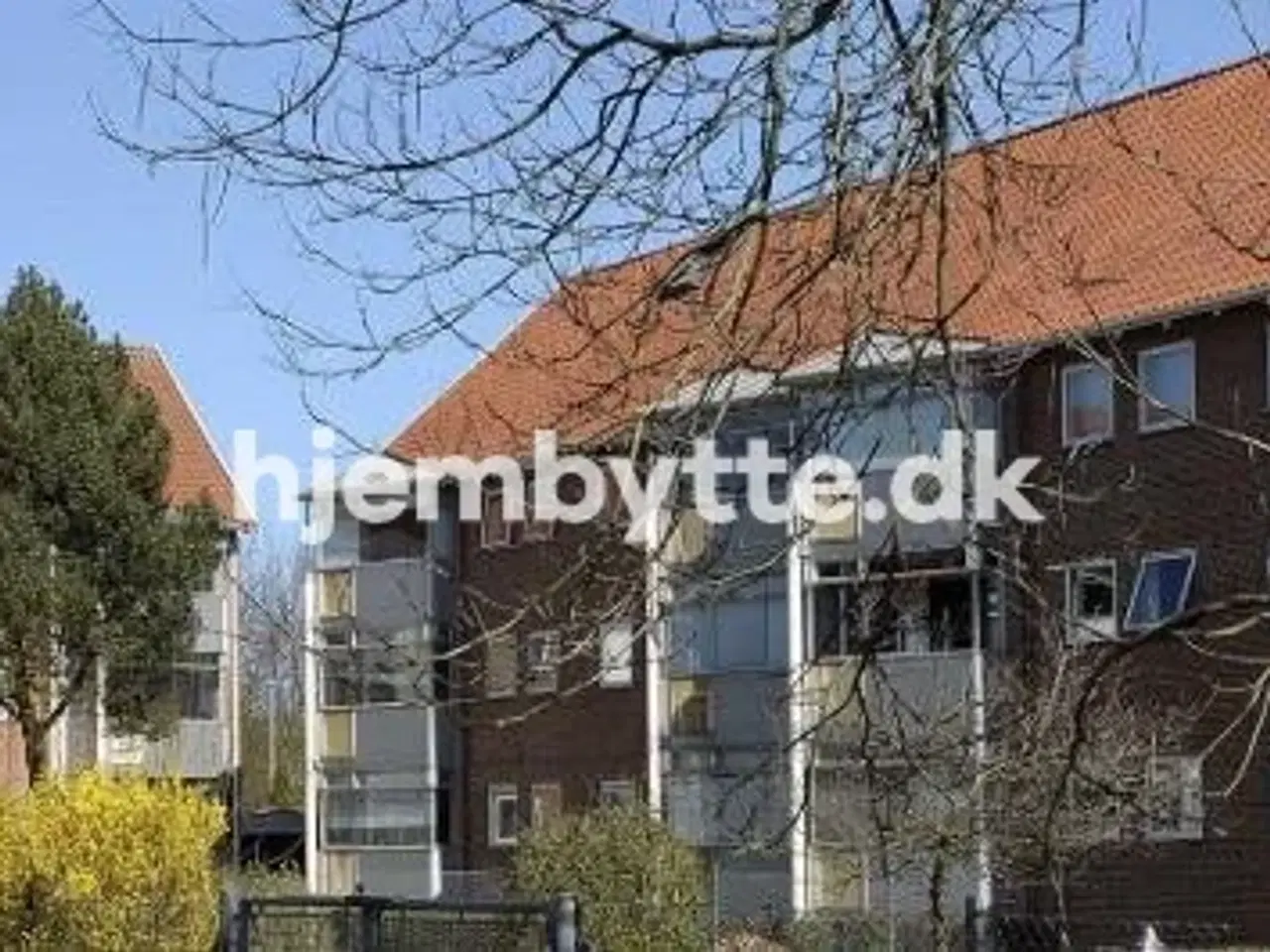 Billede 3 - Hjembytte - Lindeager