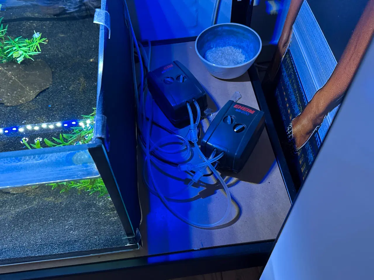 Billede 4 - akvariereol