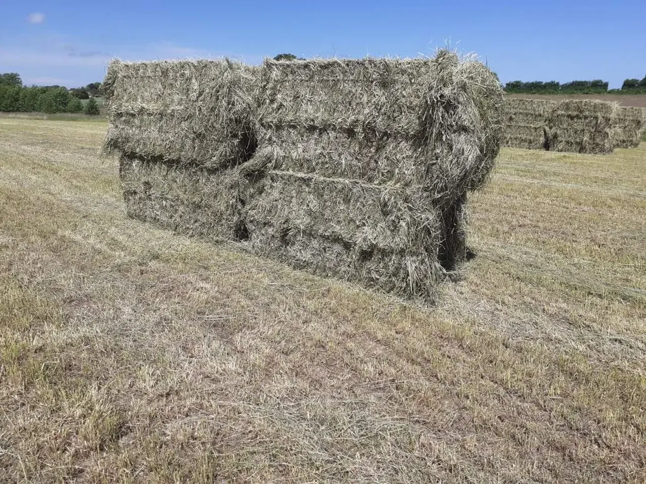 Billede 10 - Lækkert wrap 2. slet 2025 m/analyse og lav sukker