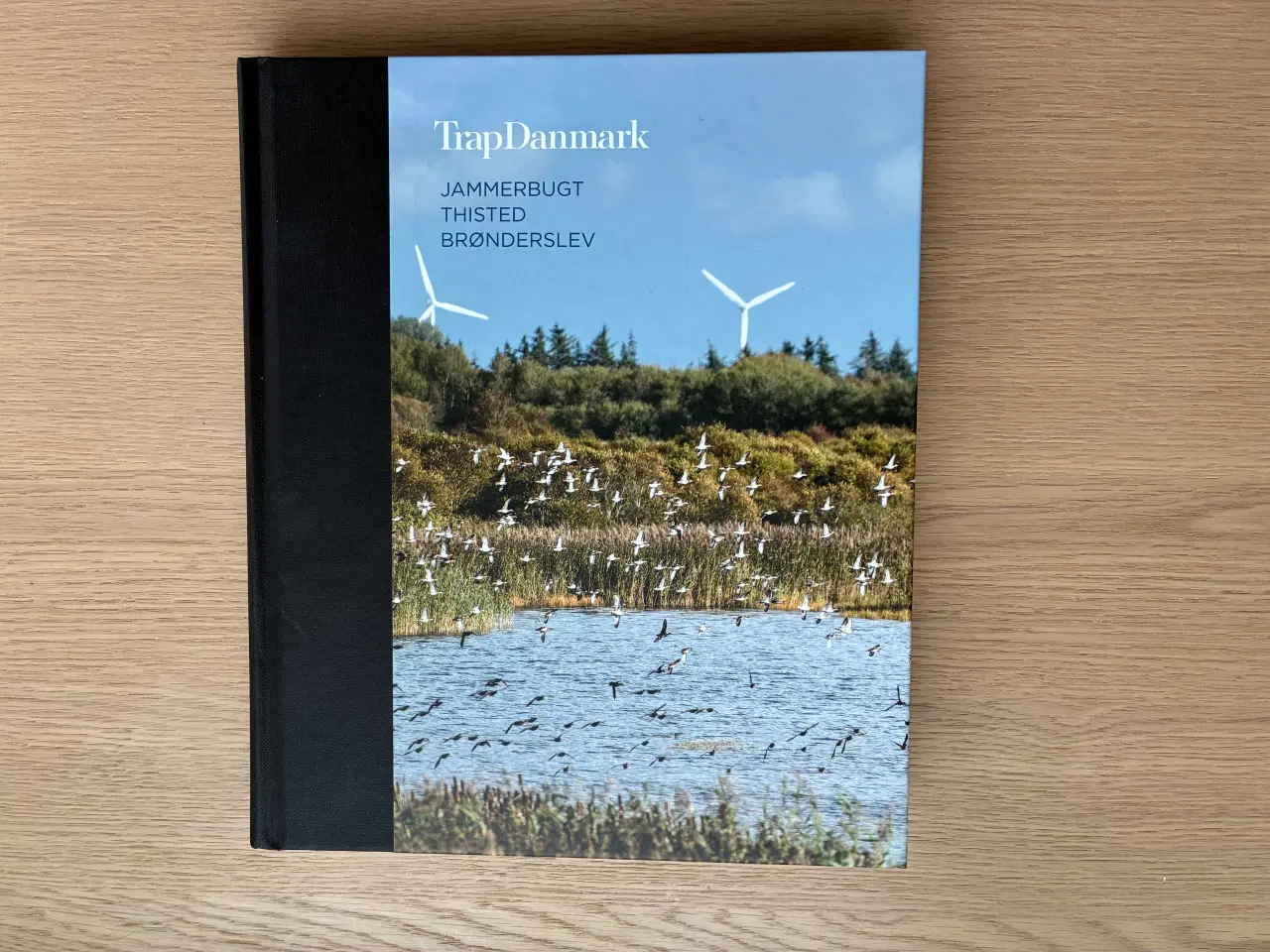 Billede 1 - TrapDanmark  Jammerbugt, Thisted, Brønderslev