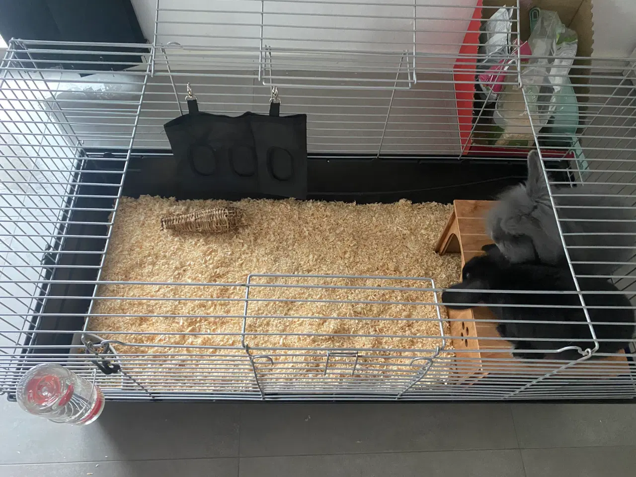Billede 4 - 🐰 To søde kaniner søger nyt kærligt hjem 🏡 🐰