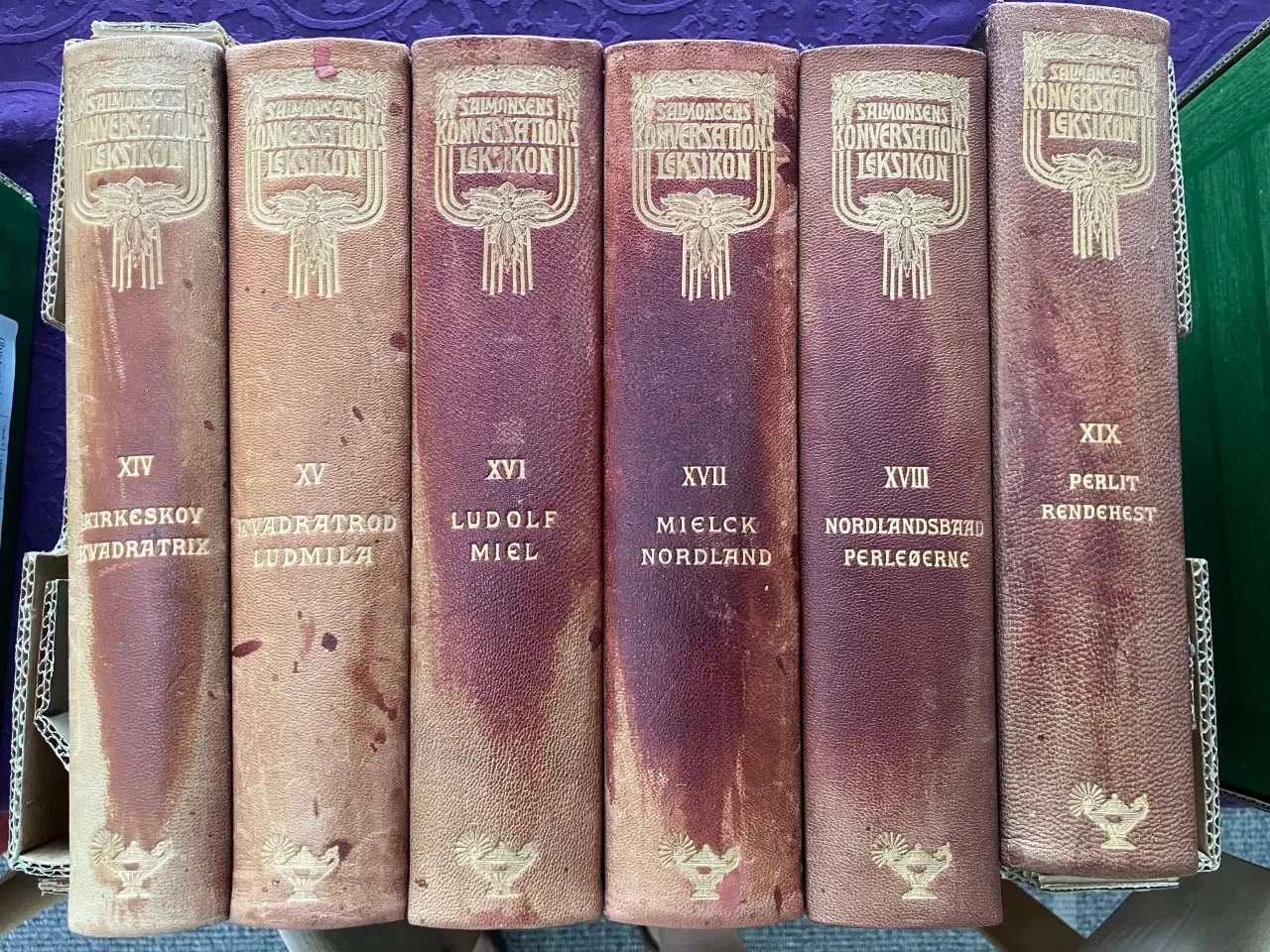 Billede 7 - Salmonsens Konversations Leksikon