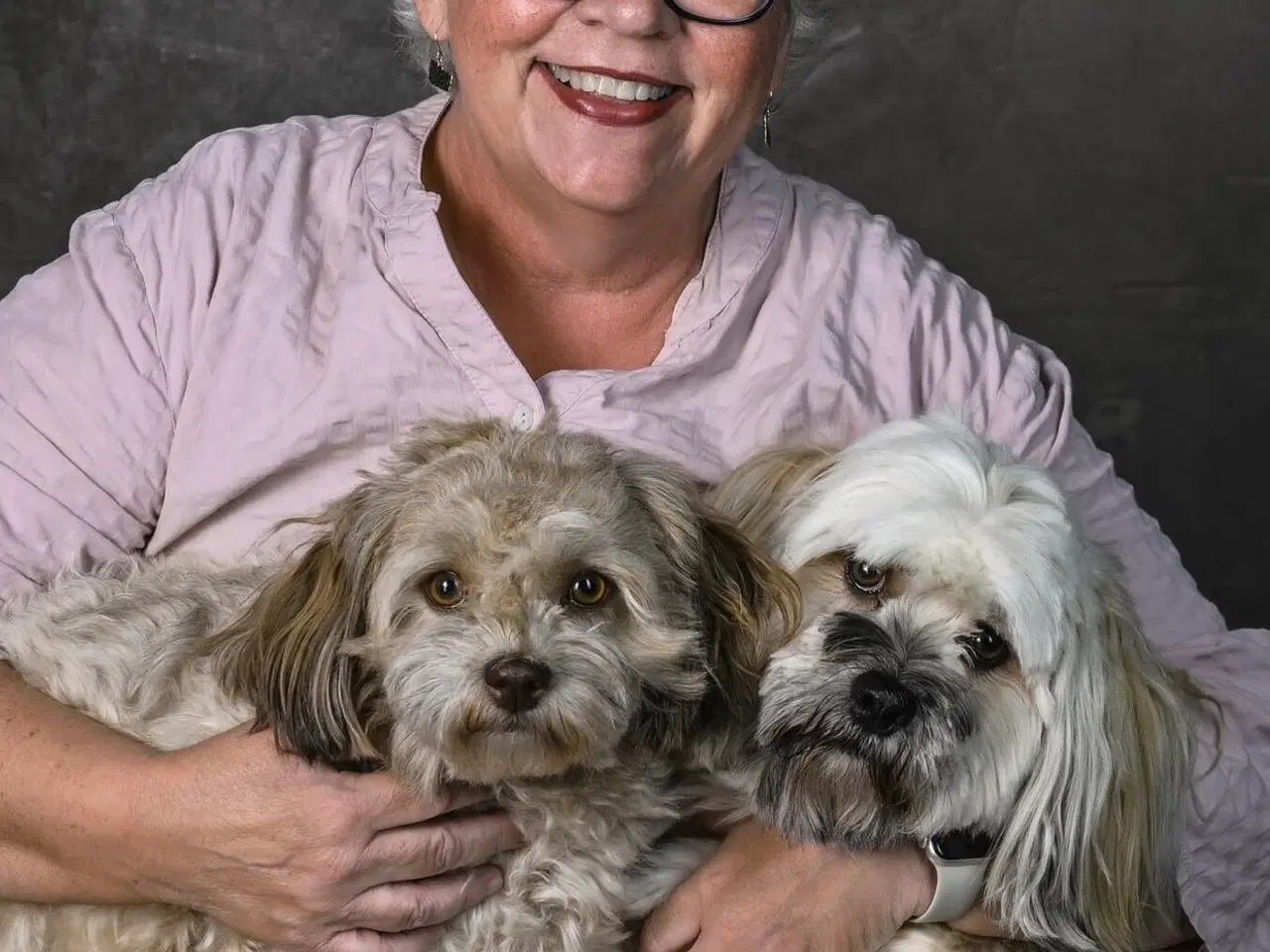 Billede 4 - Bichon Havanais  født 21/2-26