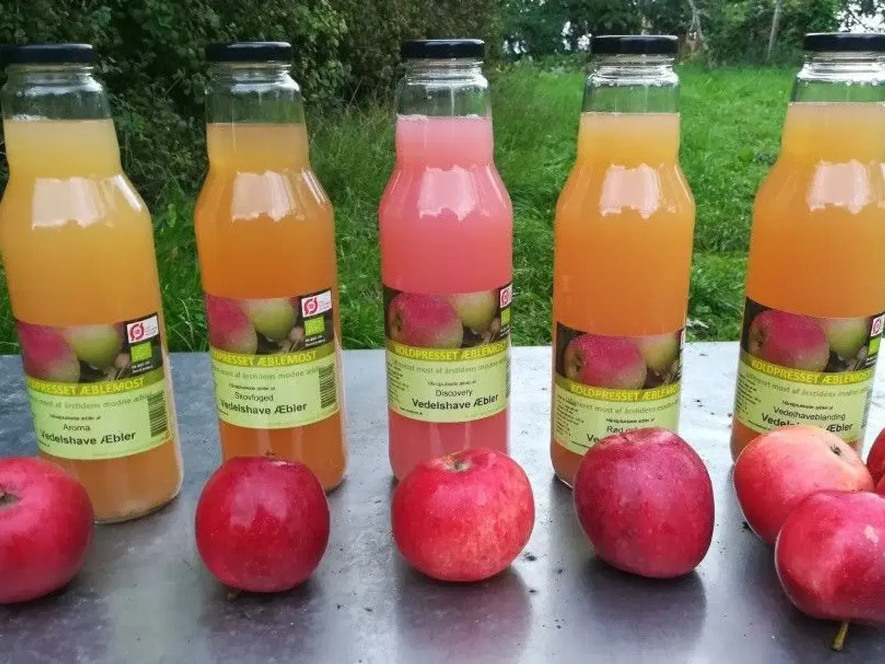 Billede 2 - Æblemost - Økologisk - 5 liter - Flere æblesorter