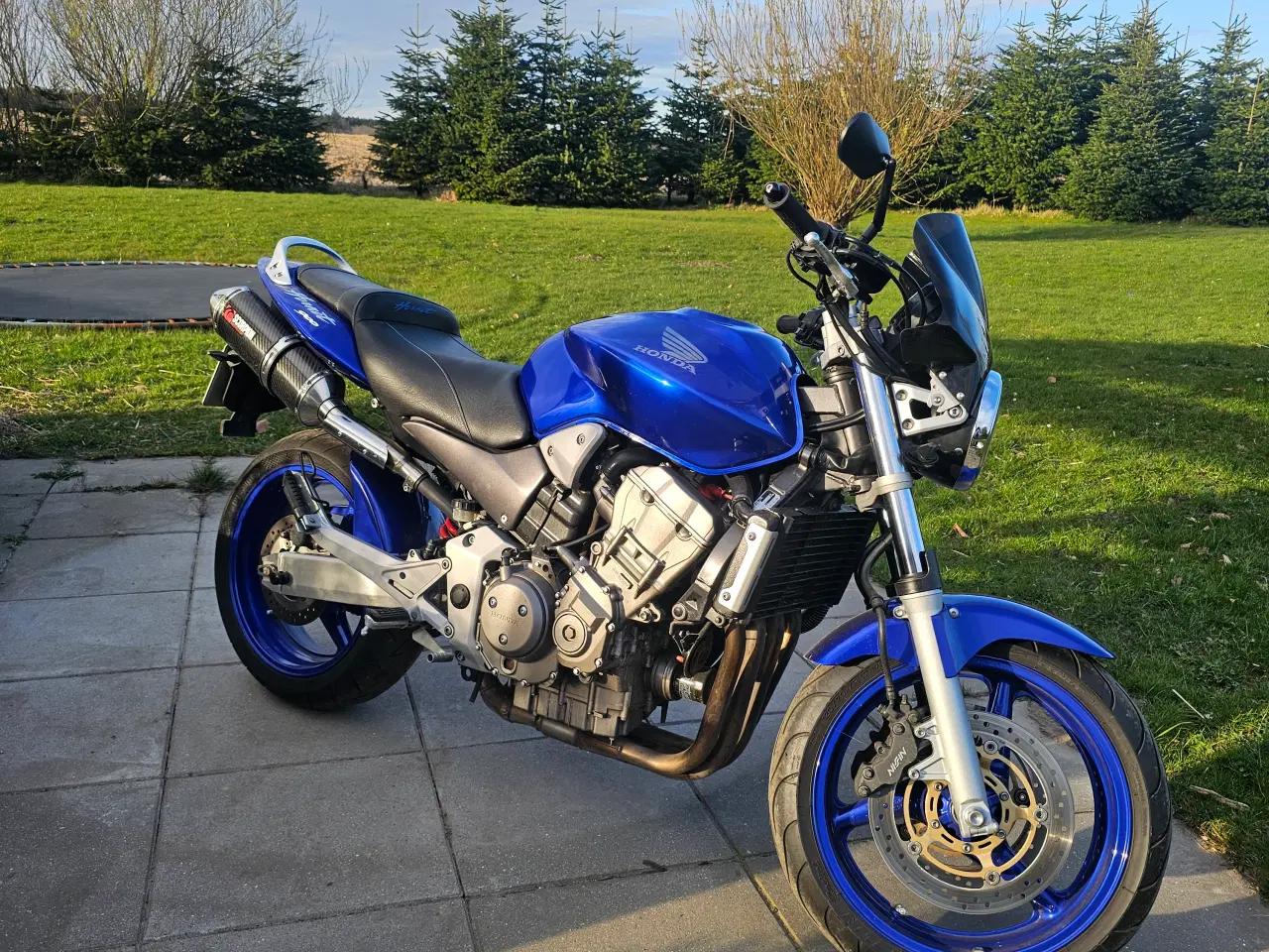 Billede 3 - Honda CB900 Hornet 