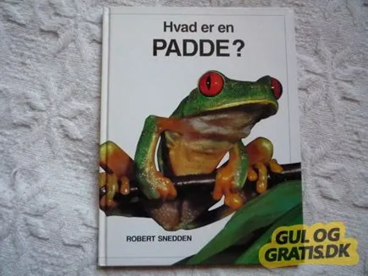 Billede 1 - Hvad er en padde?