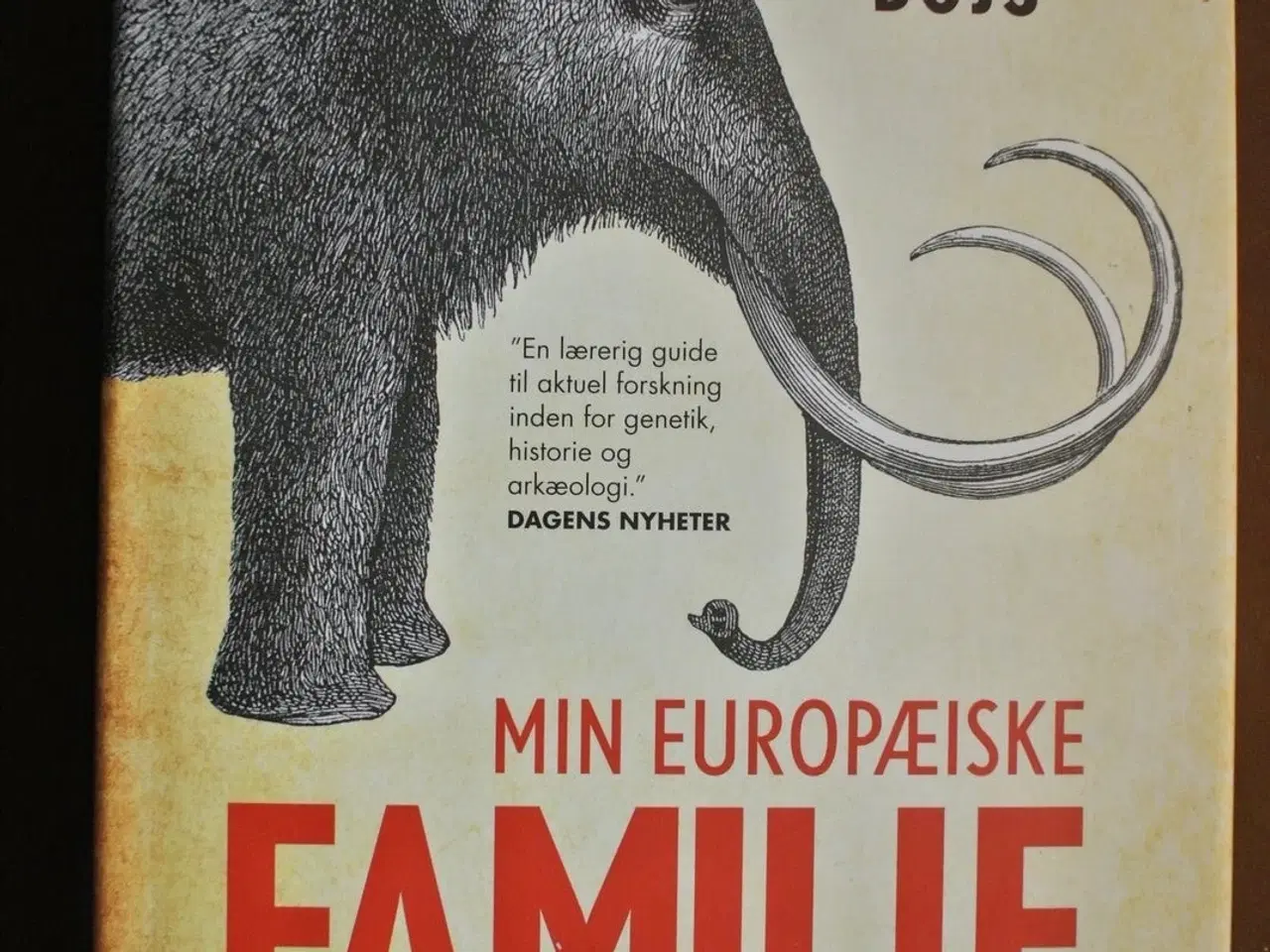 Billede 1 - min europæiske familie i de sidste 54.000 år, af k