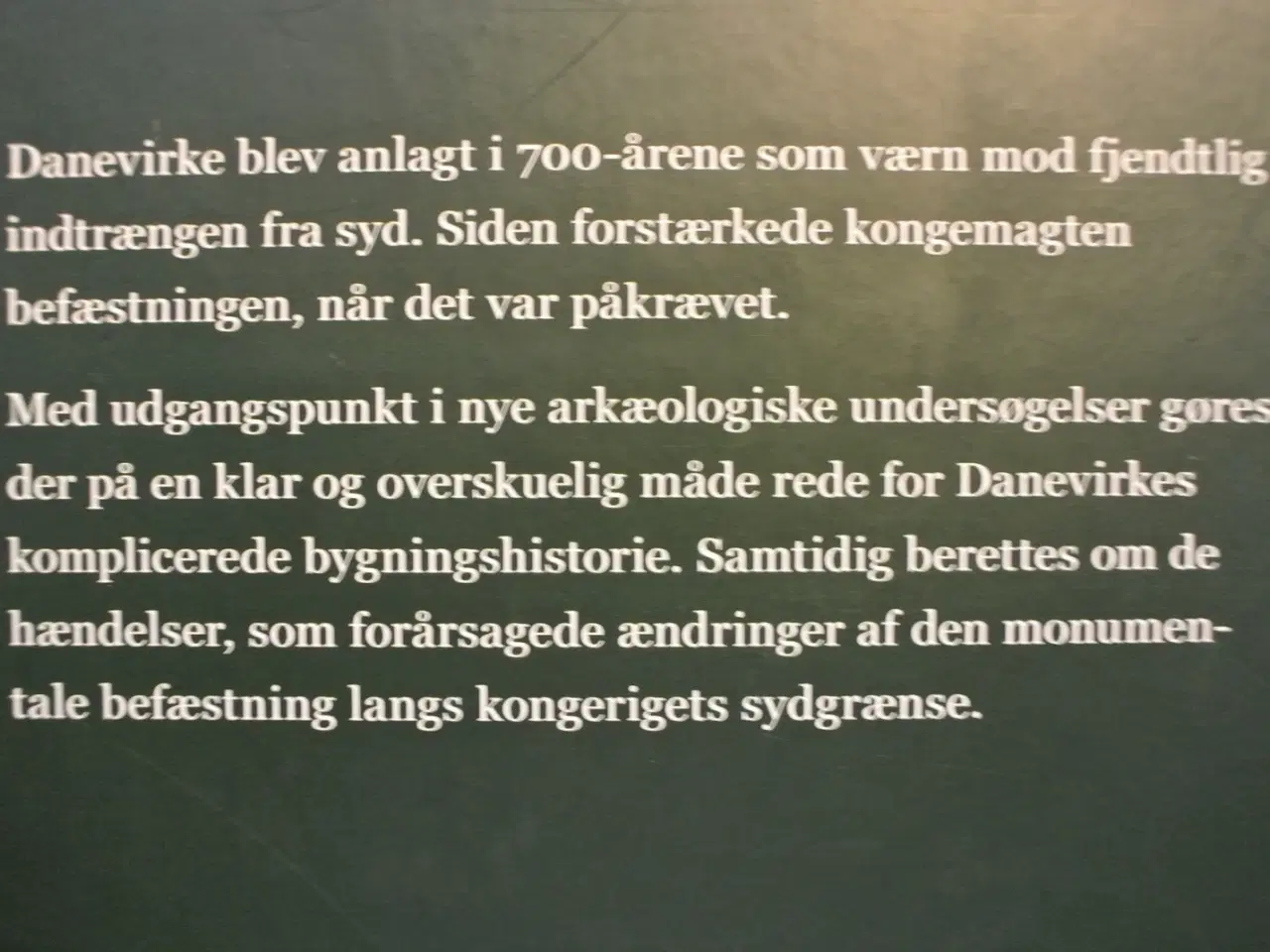 Billede 3 - til hele rigets værn - danevirkes arkæologi og hi