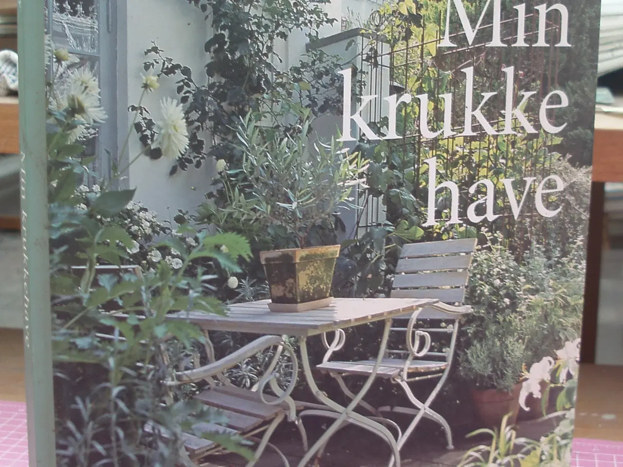 Billede 1 - Min krukke have af Claus Dalby