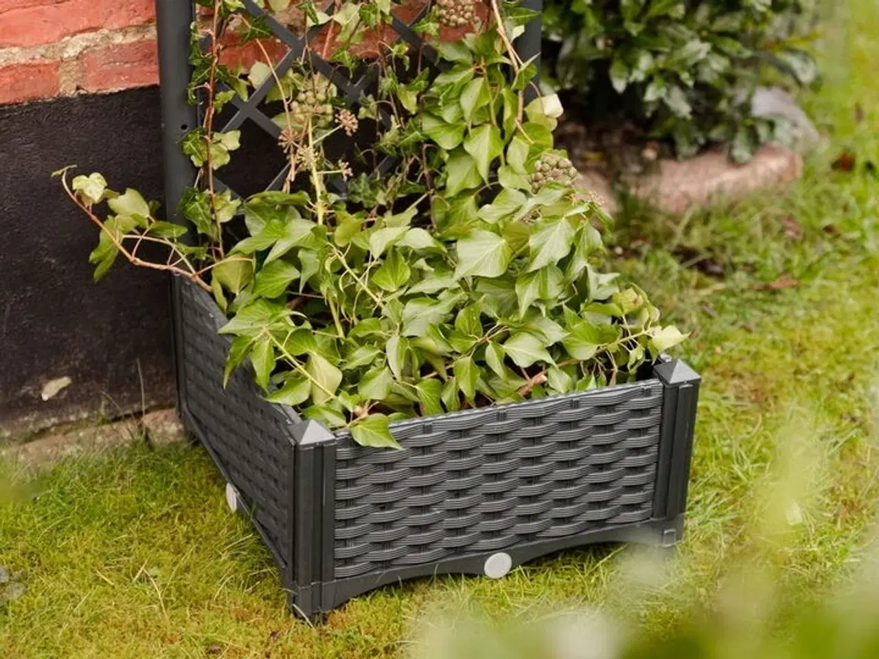 Billede 7 - 3 stk.plantekasse med espalier(ubrugt)