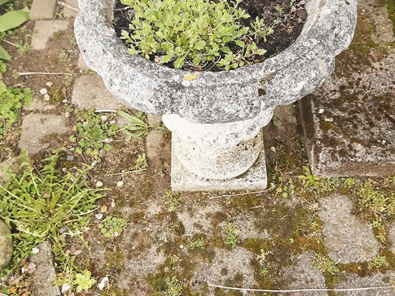 Billede 1 - Havekrukke