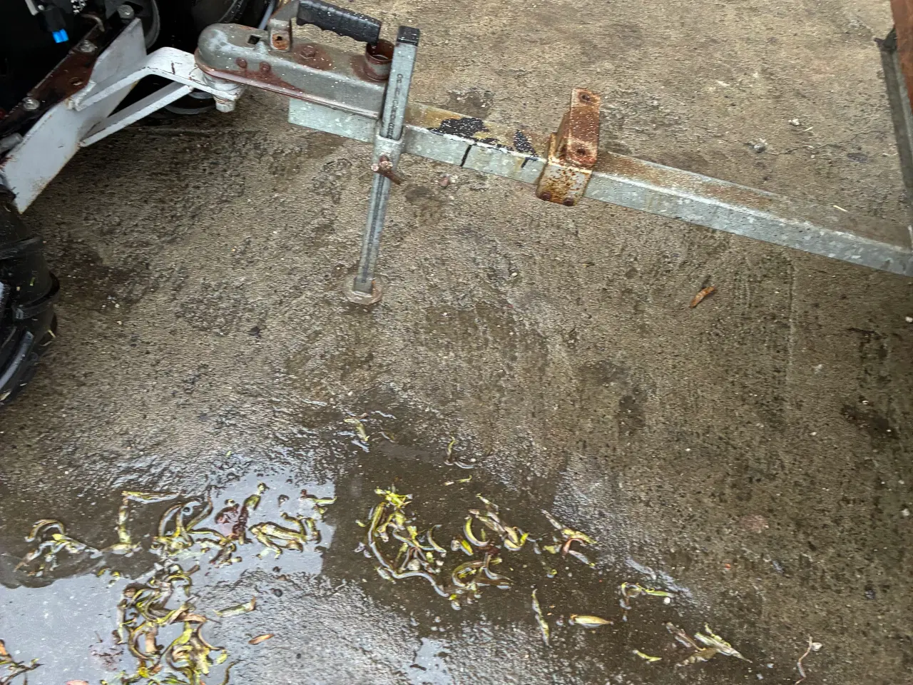 Billede 9 - Spring til ridebane