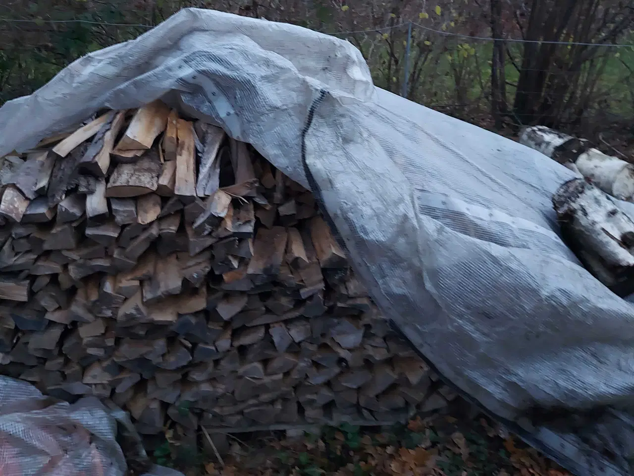 Billede 4 - Brænde blandet løv