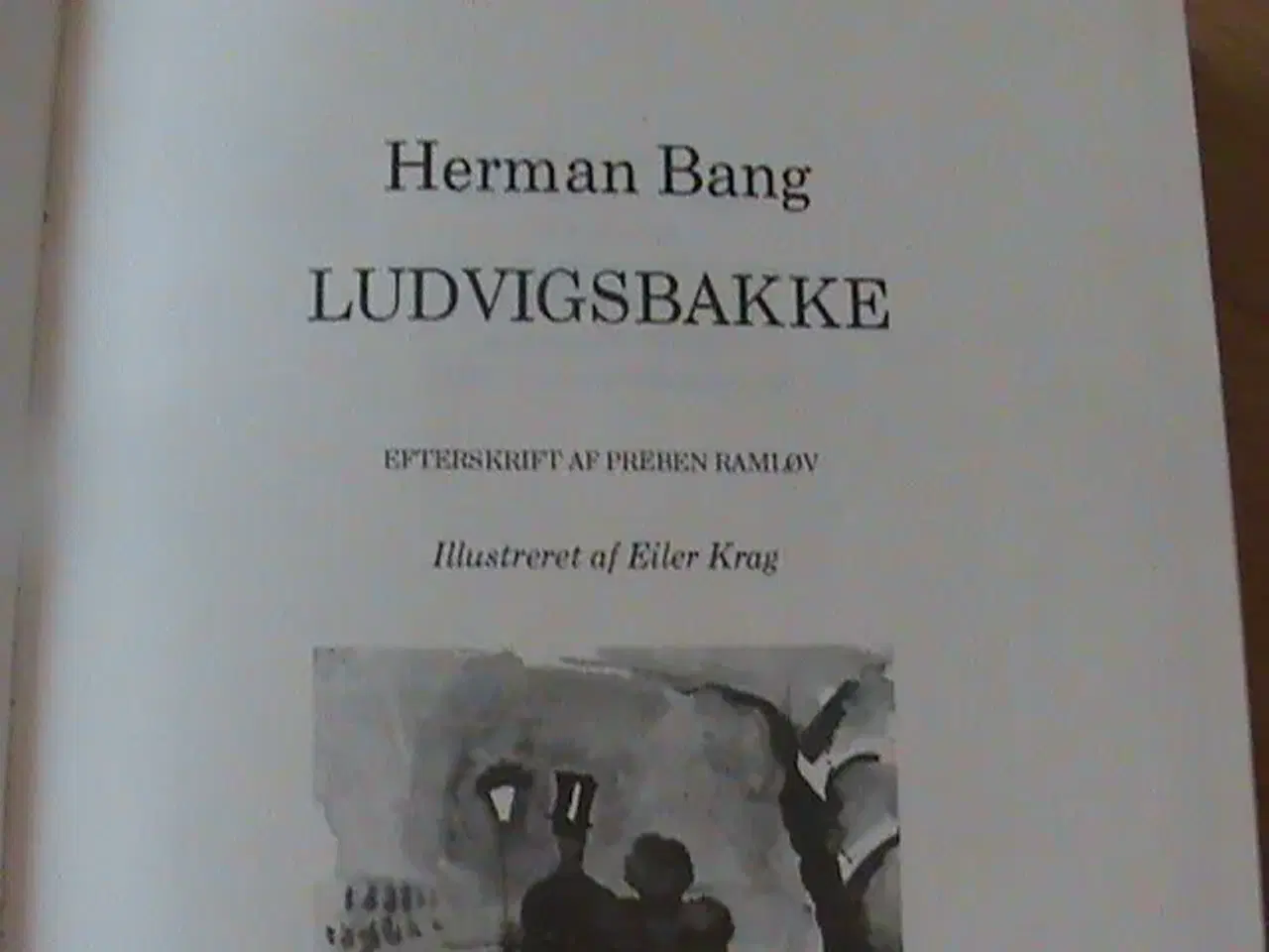 Billede 4 - Bog: Herman Bang: Ludvigsbakke