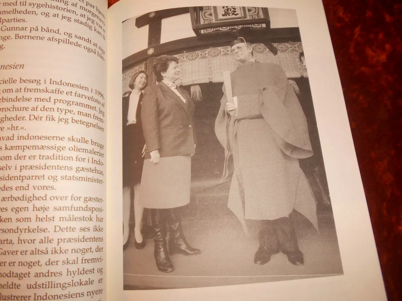 Billede 3 - Gift med Gro, Arne Olav Brundtland, 