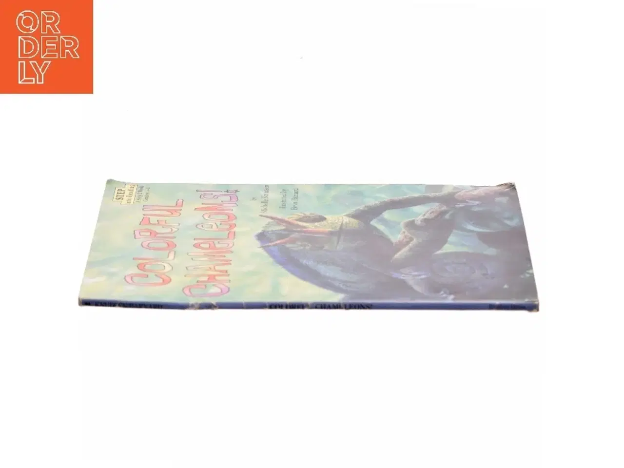 Billede 2 - Colorful chameleons!