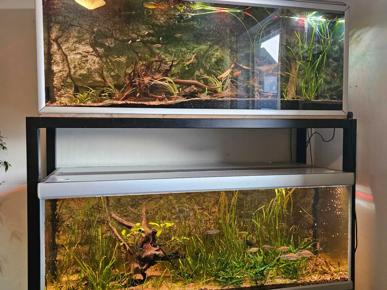 Billede 1 - Akvariereol. 