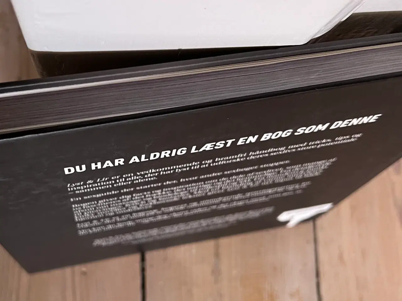Billede 5 - Lyst og lir bog