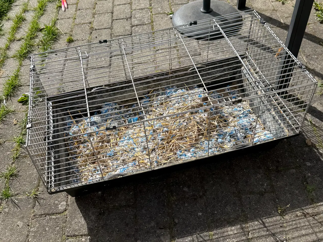 Billede 2 - Marsvin med bur