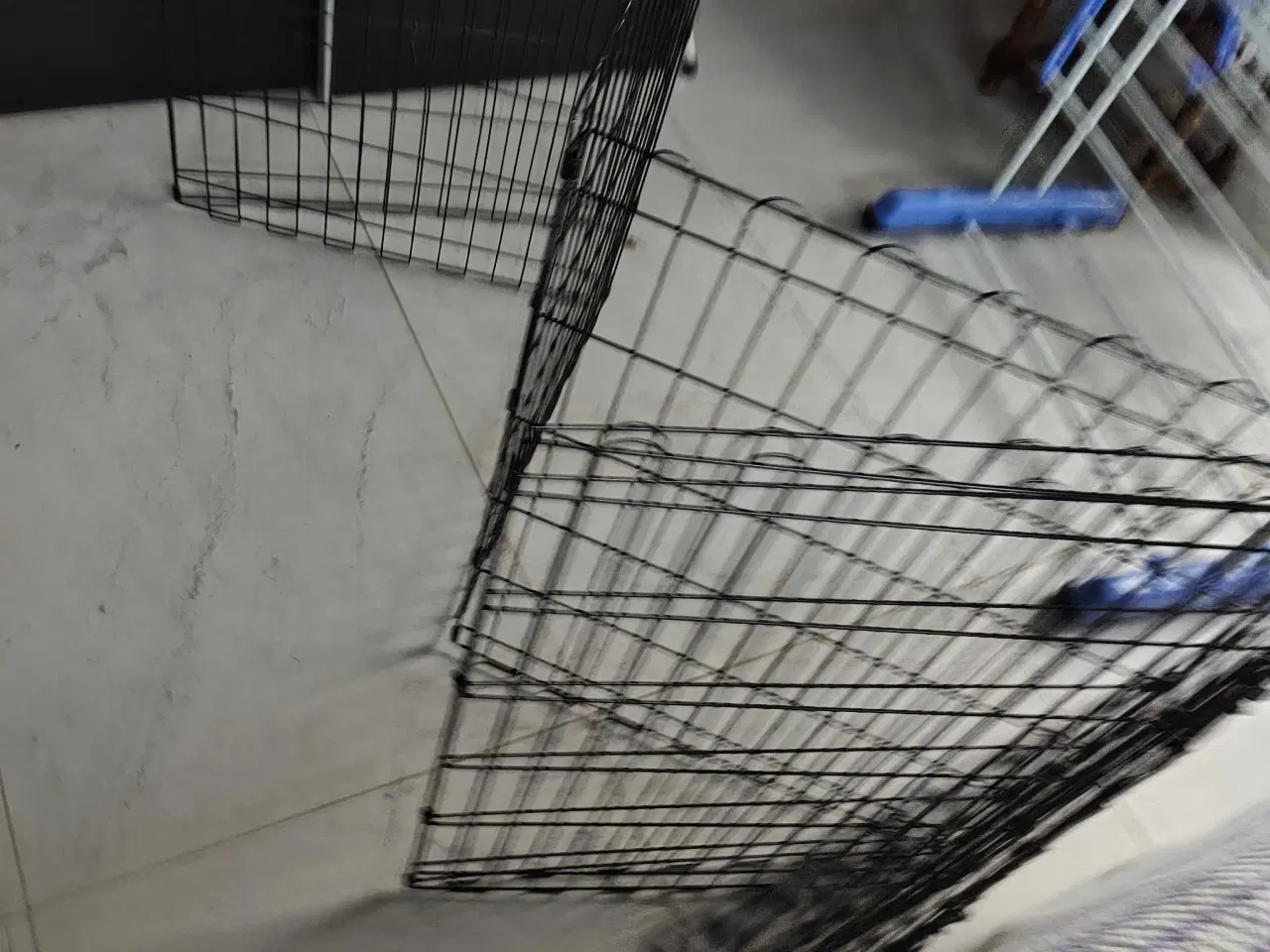 Billede 2 - Hundekravlegård 