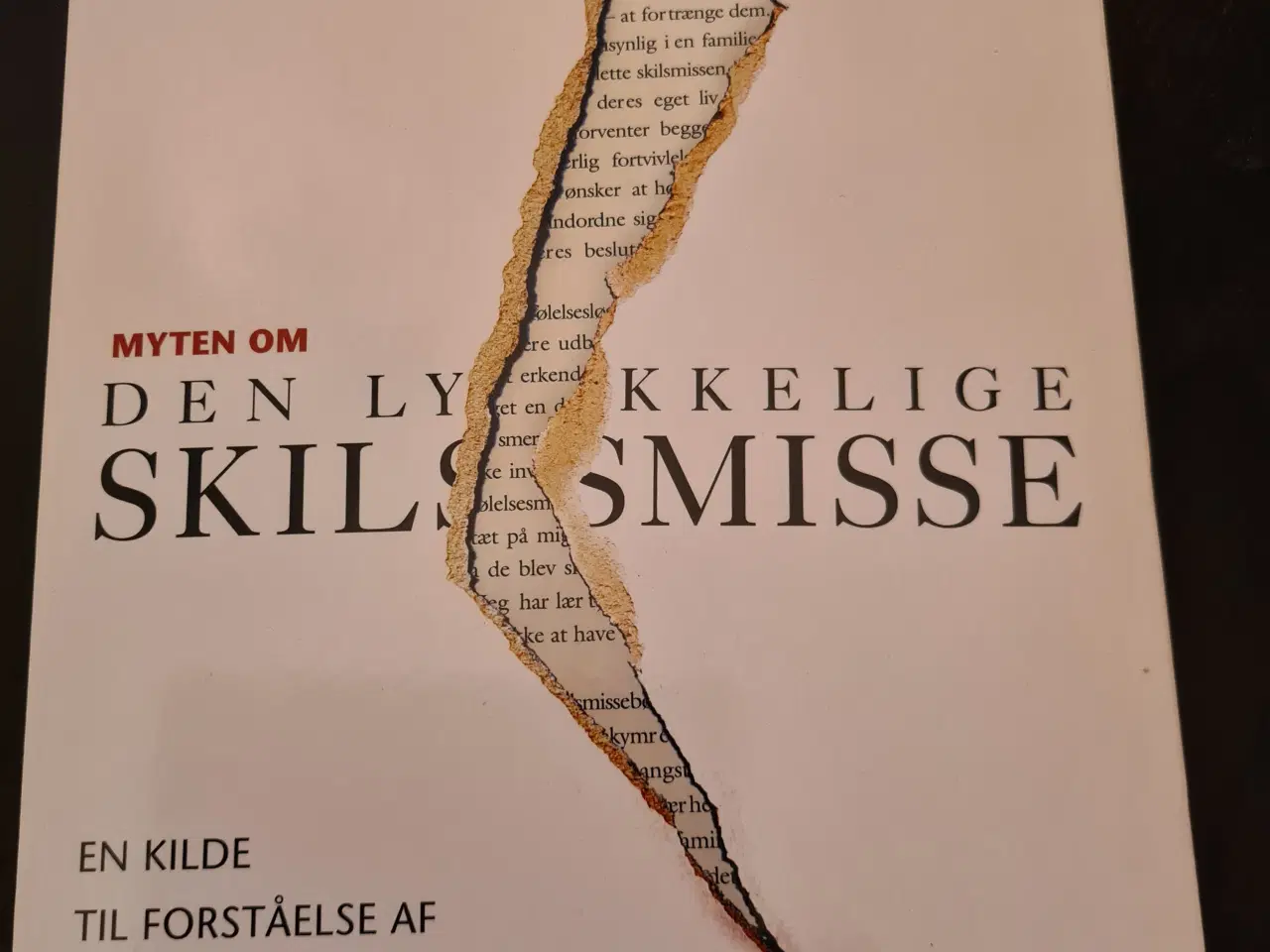 Billede 1 - Myten om den lykkelige skilsmisse